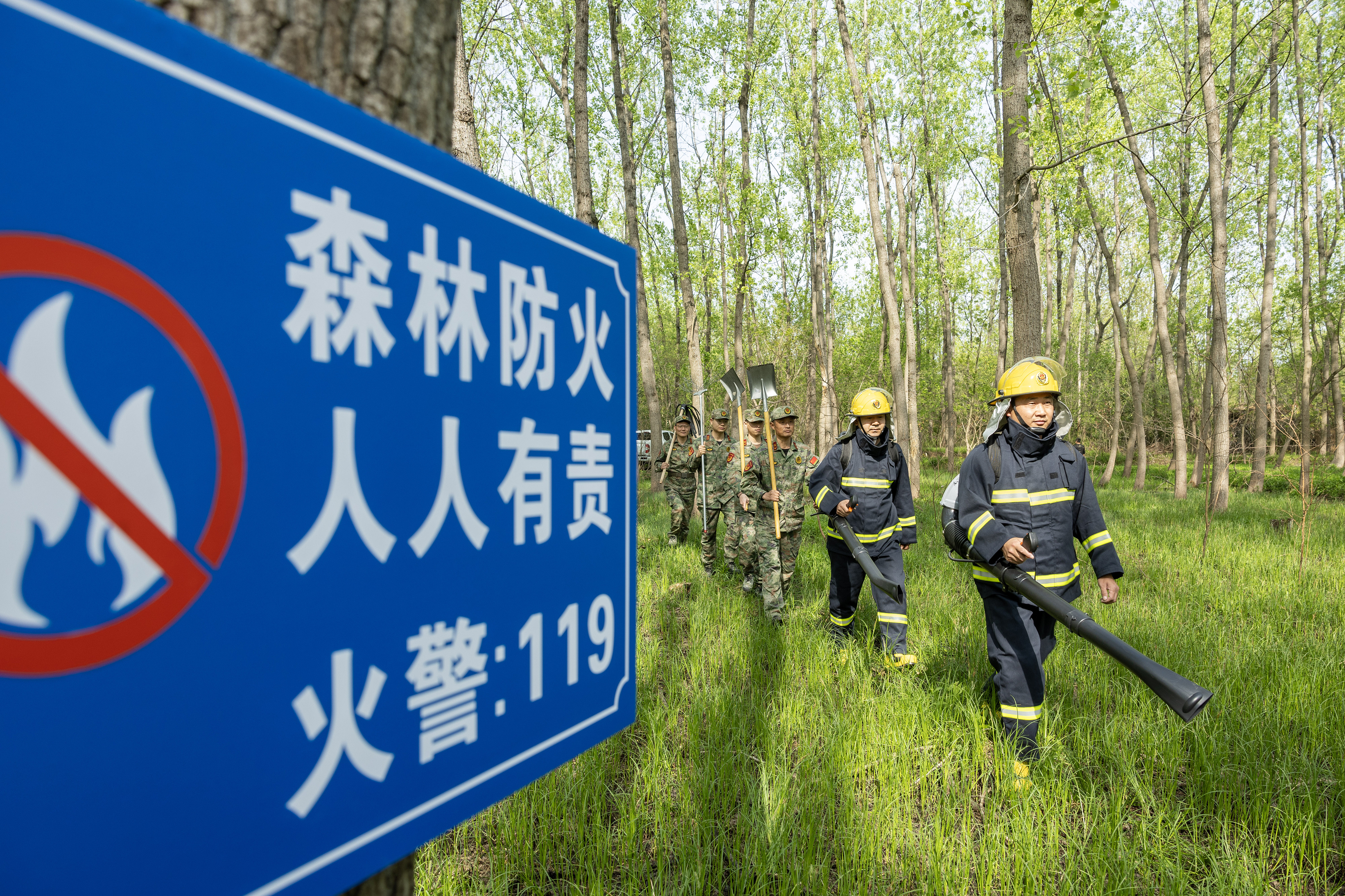 2024年4月9日，合肥市大房郢水庫水源保護地廬陽經(jīng)濟開發(fā)區(qū)段，基干民兵正在林間巡查火災(zāi)隱患。